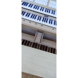 Console Tonus  DS 300