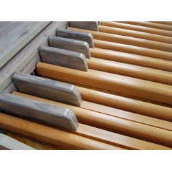 Set Organ keyboard  