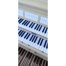 Console Tonus  DS 300
